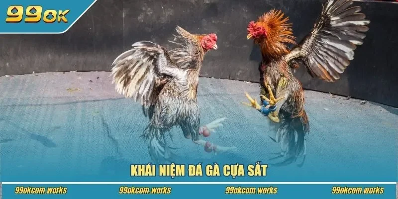 Khái niệm đá gà cựa sắt